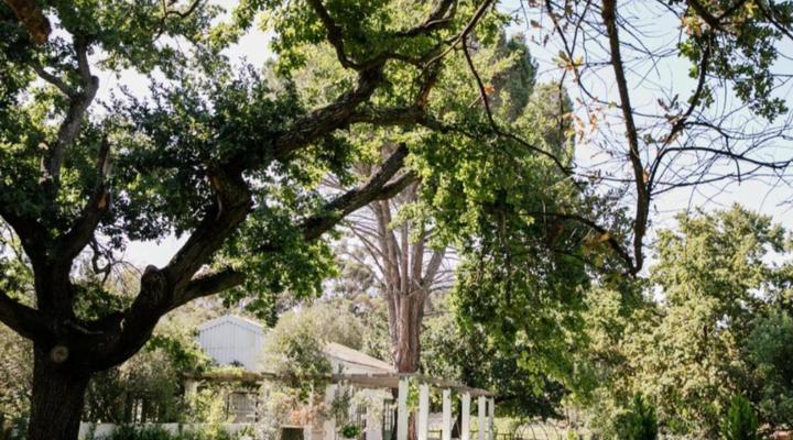 Montpellier De Tulbagh