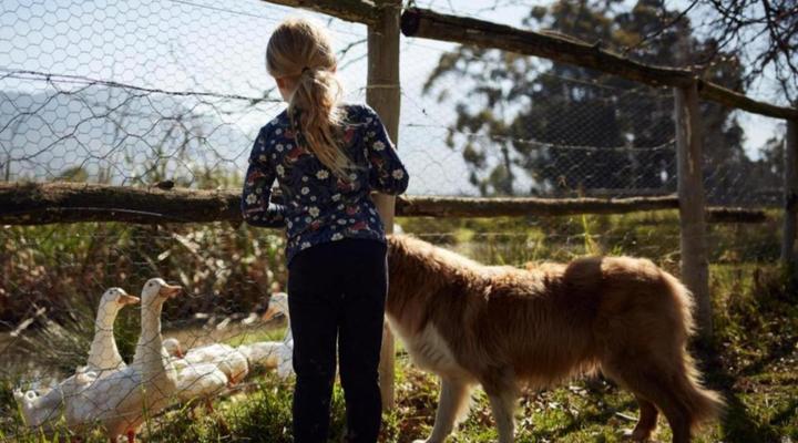 Montpellier De Tulbagh