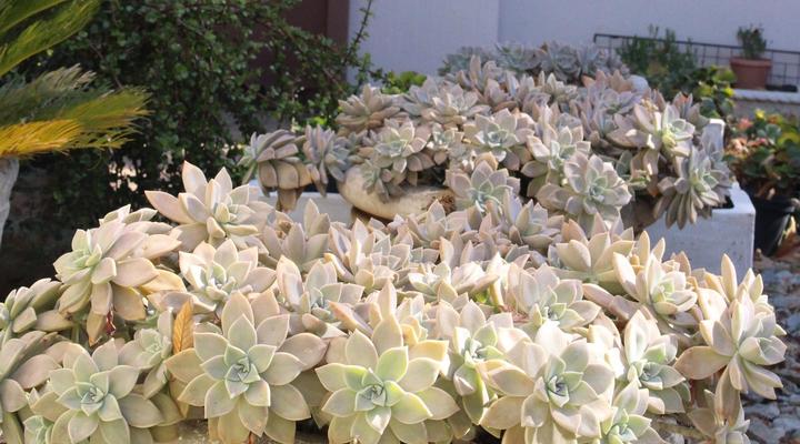 Accommodation at Potch Guest House