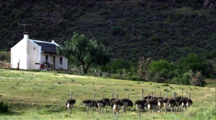 Red Stone Hills Holiday Farm