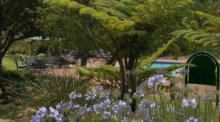 Penny's Place on Greenway