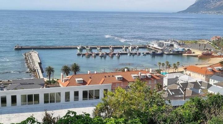 Dragon Tree Guest House