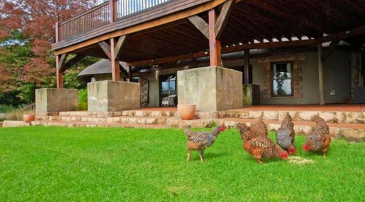 Bankenveld House Bed and Breakfast