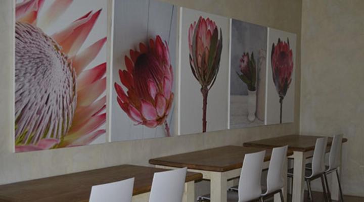 9 on Kromellenboog Guesthouse