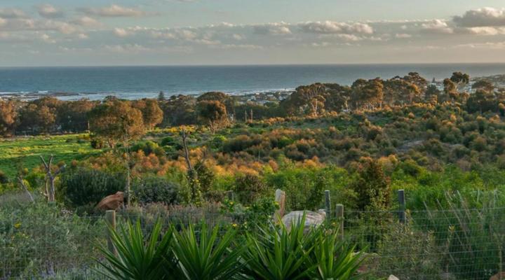 Onrus Mountain Escape