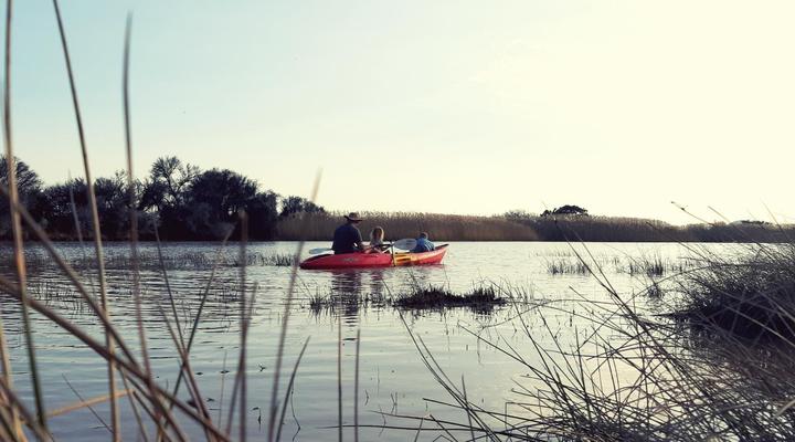 Rietfontein Lodge & Safaris