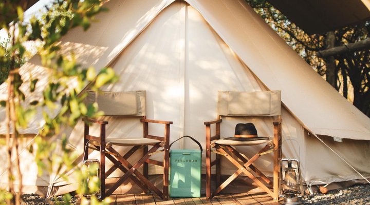 The Leadwood Safari Camp