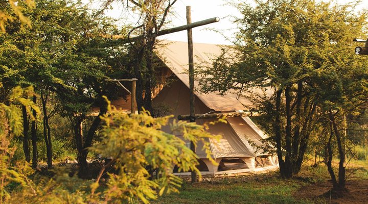 The Leadwood Safari Camp