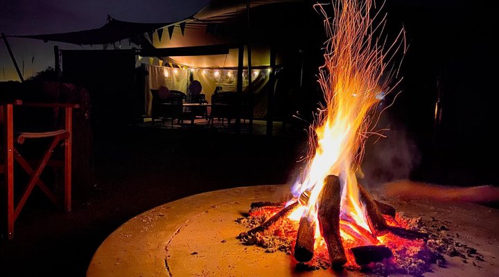 The Leadwood Safari Camp