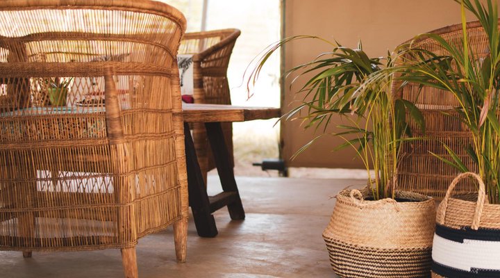 The Leadwood Safari Camp