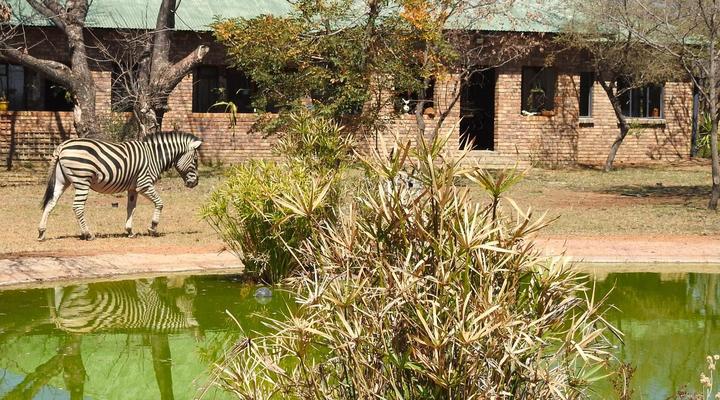 Marulani Bush Lodge
