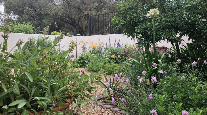 Sandton Slippers B&B