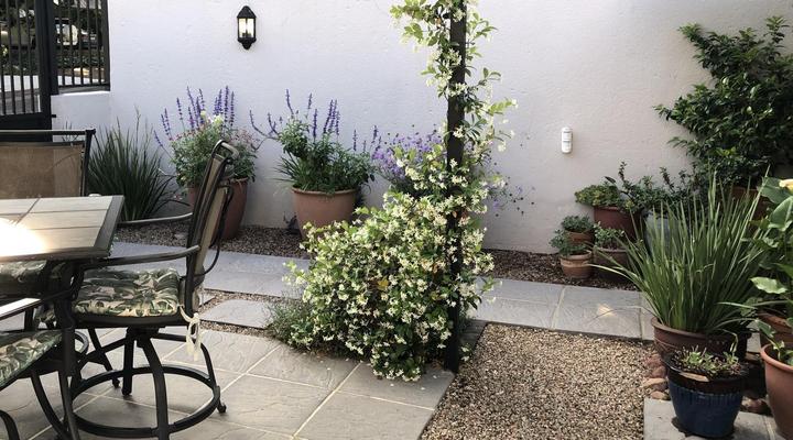 Sandton Slippers B&B