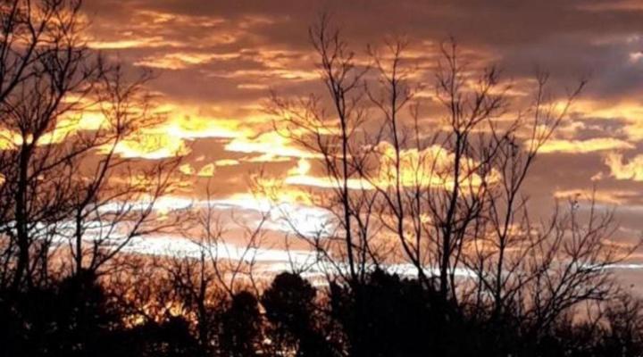 The Willows Function & Conference Centre