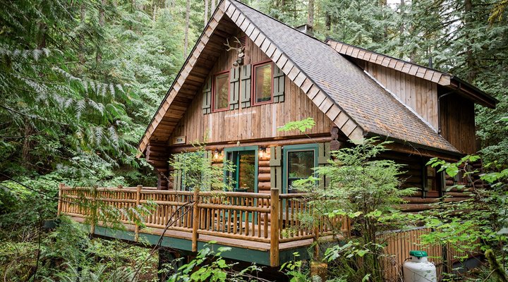 Mt. Baker Rim Cabin #58