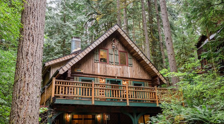 Mt. Baker Rim Cabin #58