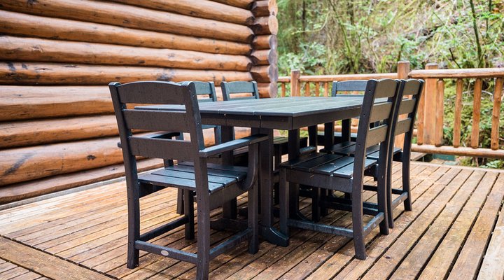 Mt. Baker Rim Cabin #58