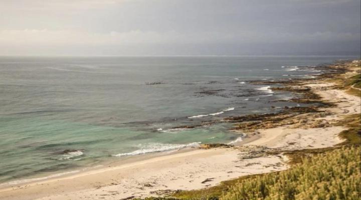 Salted Fynbos Staying