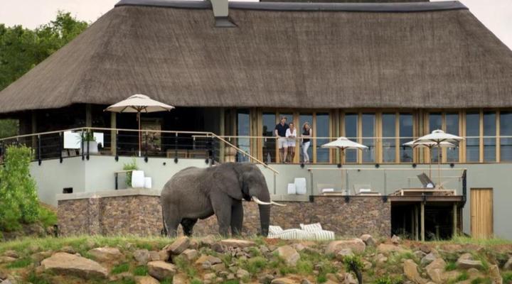 Mhondoro Game Lodge