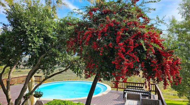 Paradise in the Winelands