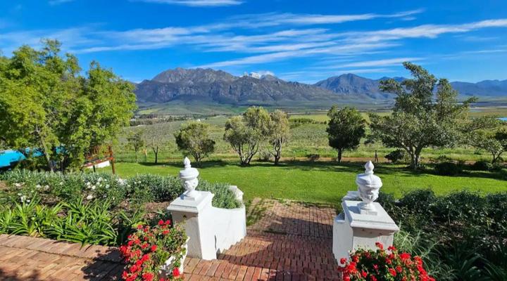 Paradise in the Winelands
