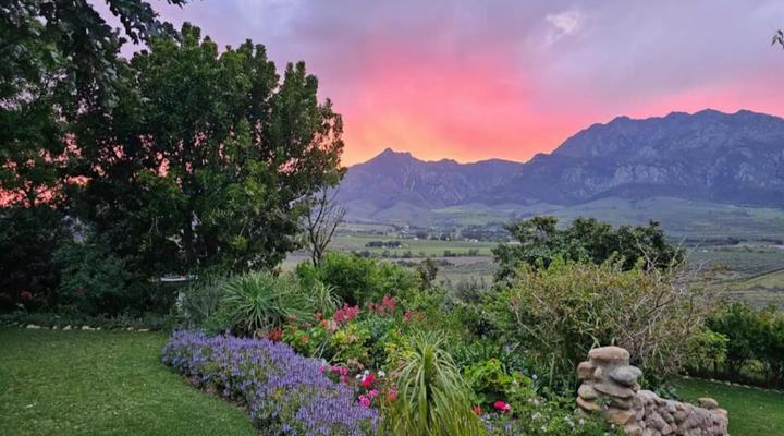 Paradise in the Winelands