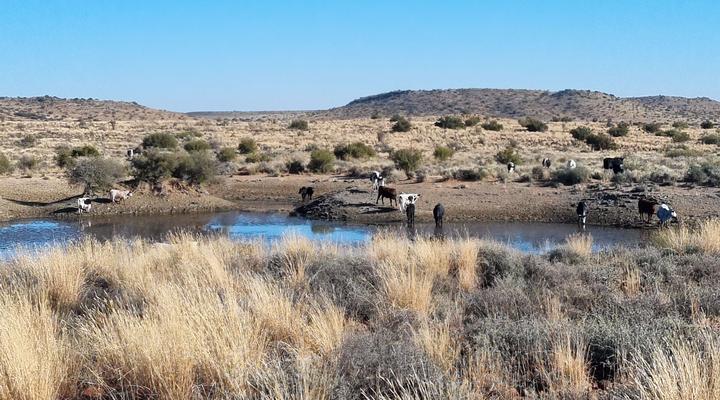 Hidden Karoo Cottage