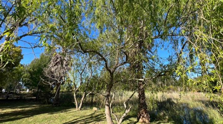 Forest Gate Eco Estate