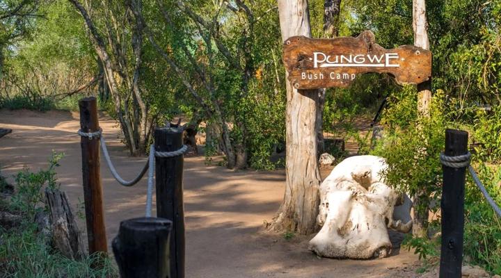 Pungwe Bush Camp