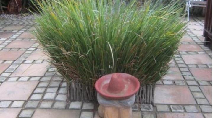 Twilight Self-Catering Cottage