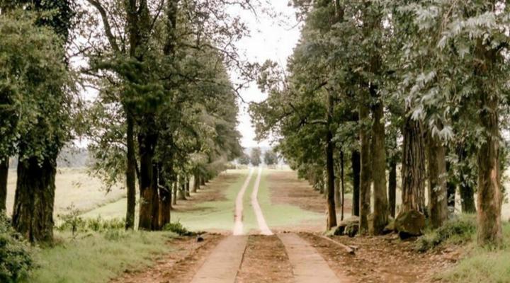 Thatchings Guest House and Conference Venue