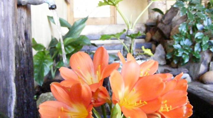 Hornbill House Hermanus