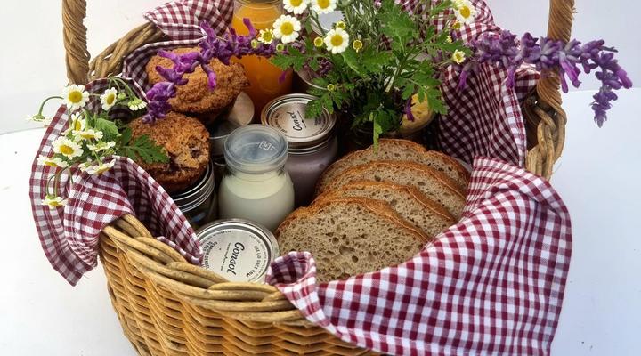 Frieden-Hof Guest Accommodation