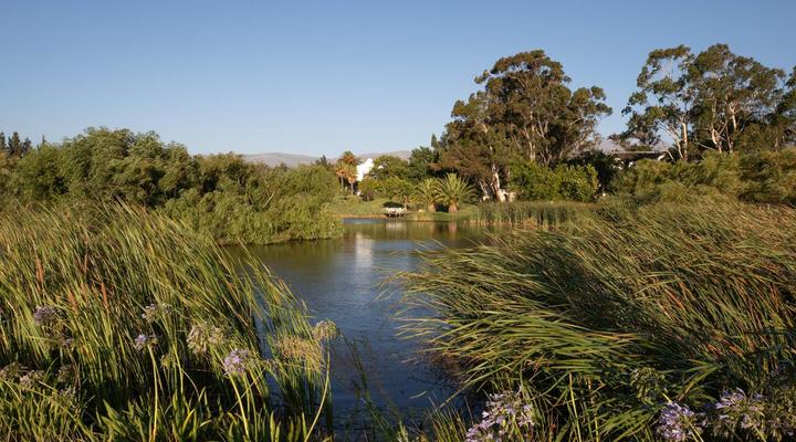 Kloofzicht Estate Country House - The Loft