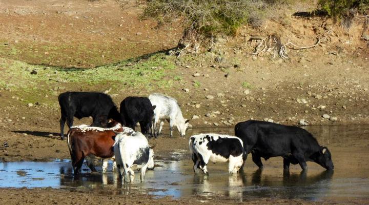 Hidden Karoo Cottage