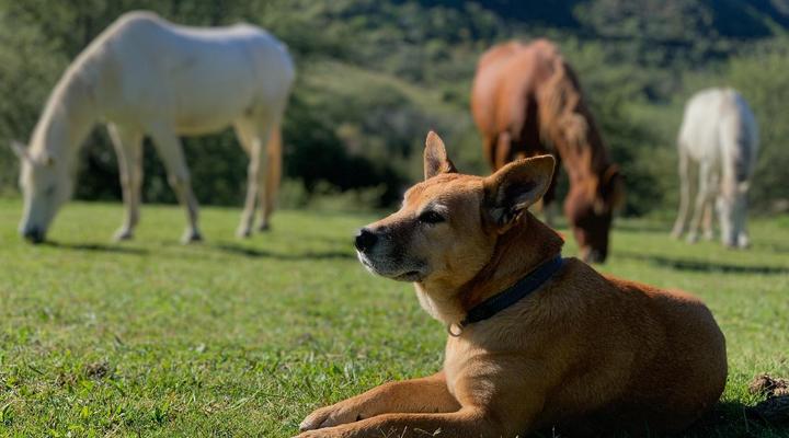 The Retreat at Groenfontein