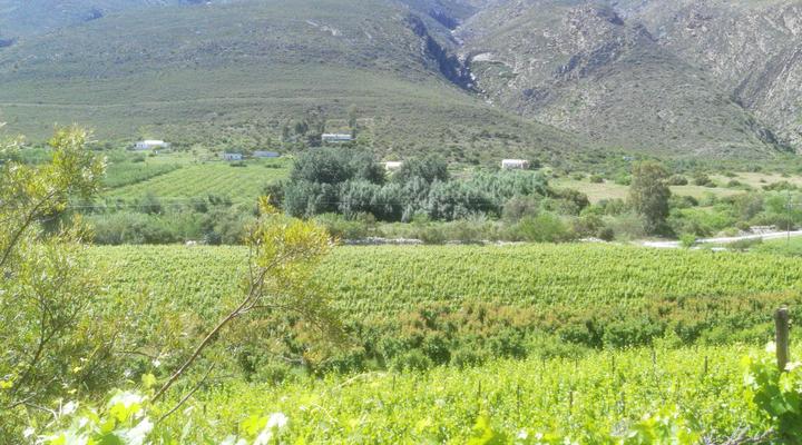 Tweedal Country Cottage