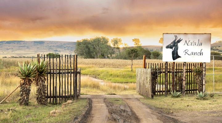 Nxala Ranch