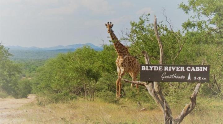 Blyde River Cabins