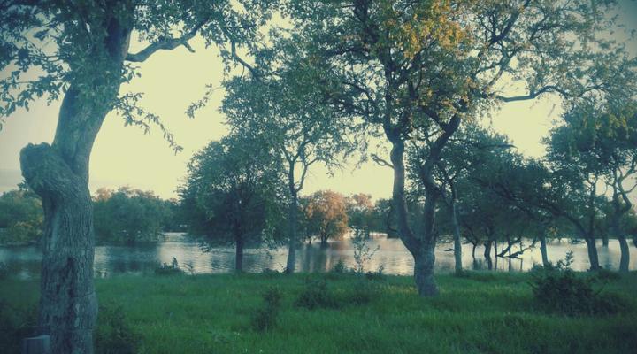 Paradise Camp Grootfontein