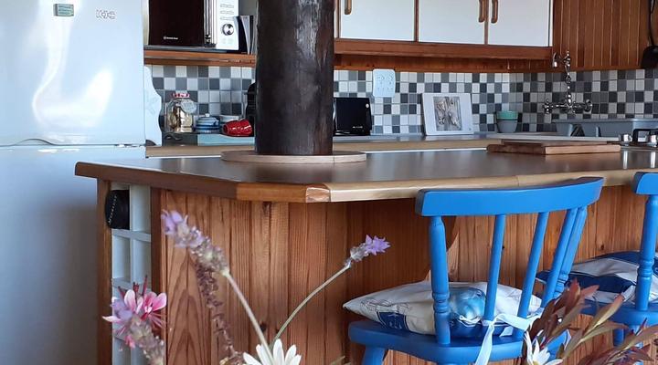 Blue Dolphin Guest Suite