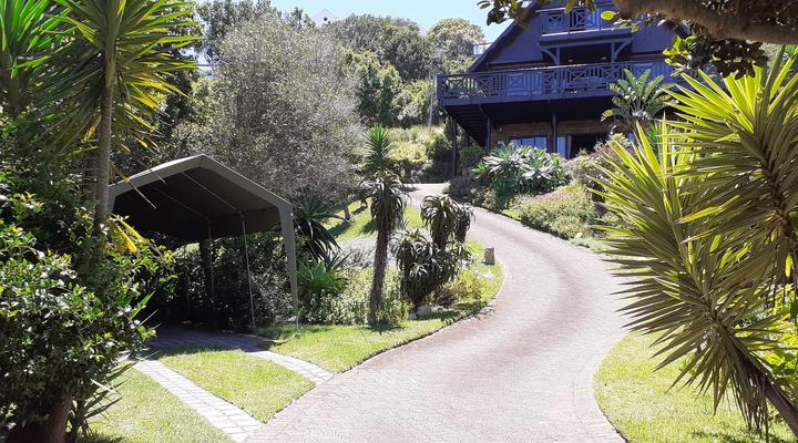 Blue Dolphin Guest Suite