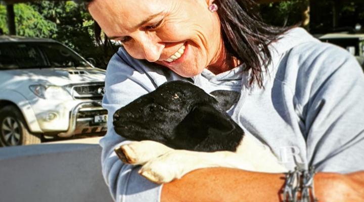 The Green Tree Cottages