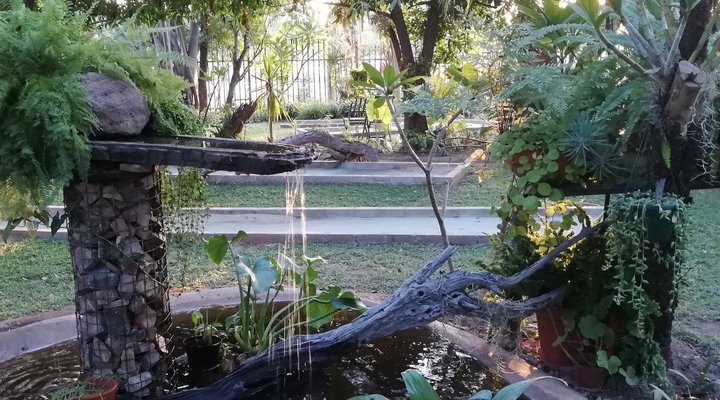 The Orchid Guesthouse 