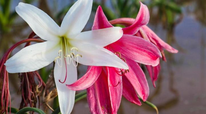 Maltahöhe Self Catering