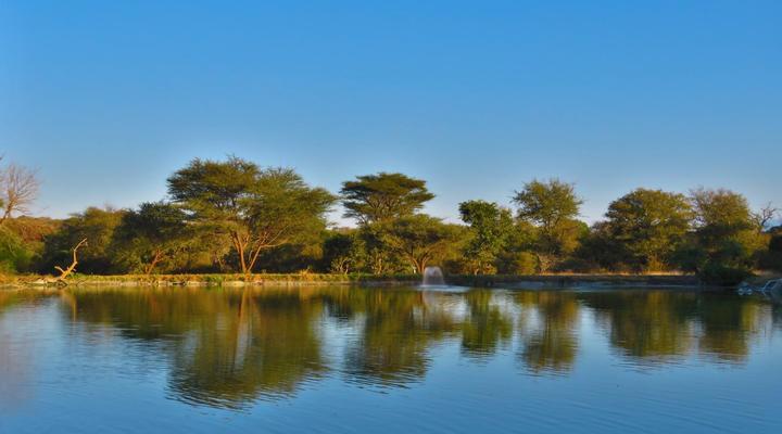 Wild Dog Guest Lodge