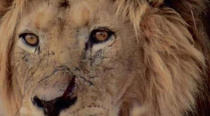 iGwalagwala Guest House