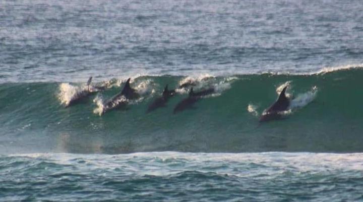 iGwalagwala Guest House