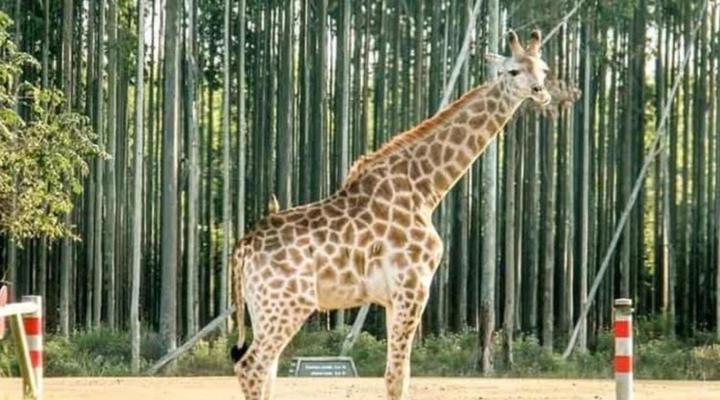 iGwalagwala Guest House