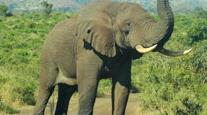 iGwalagwala Guest House